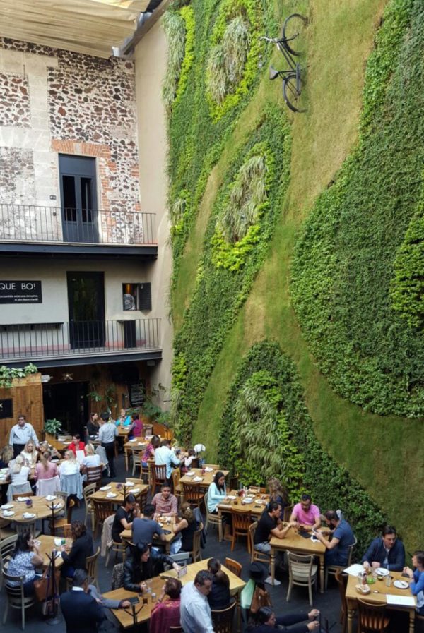 grass-wall-restaurant-mexico-city