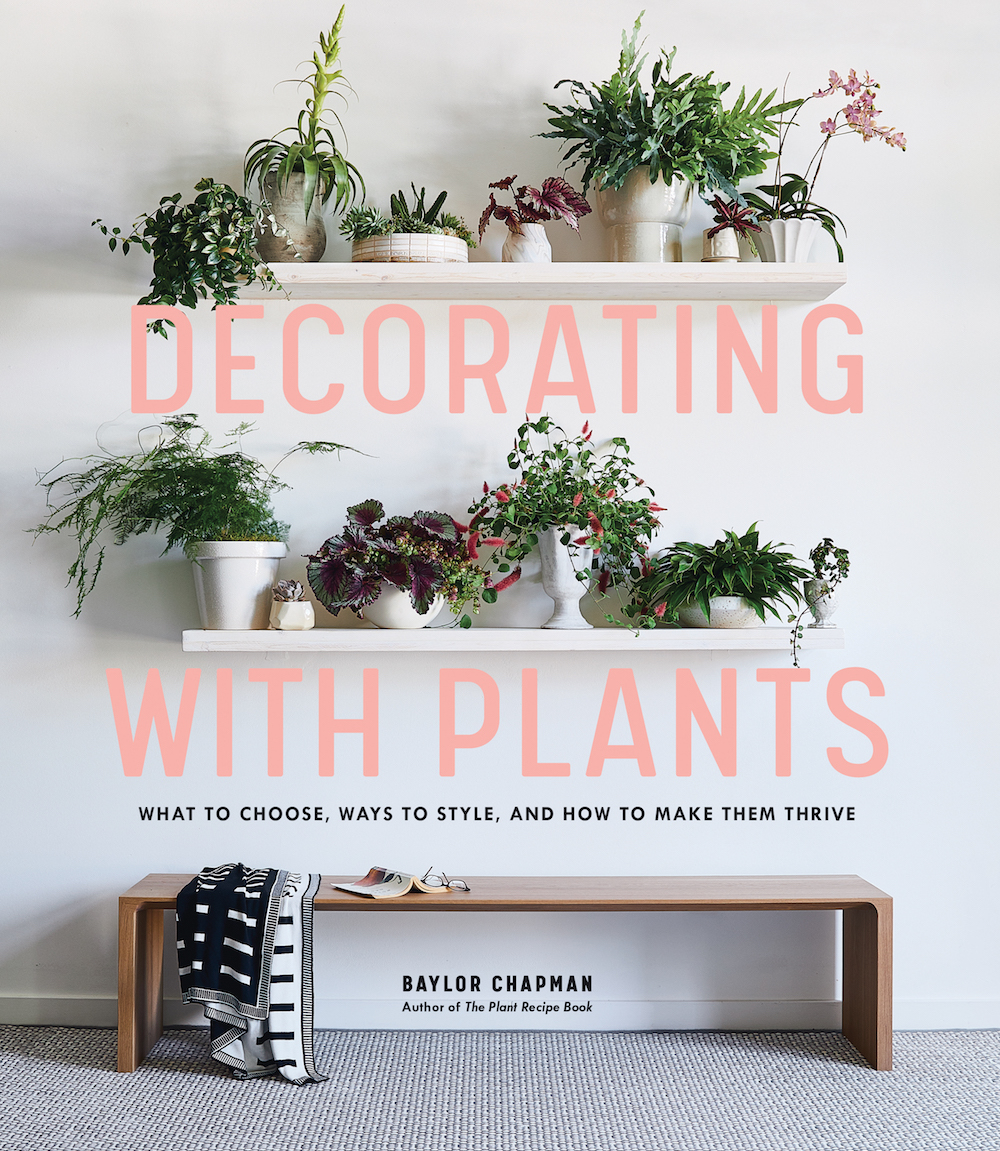 how to decorate with plants on apartment 34