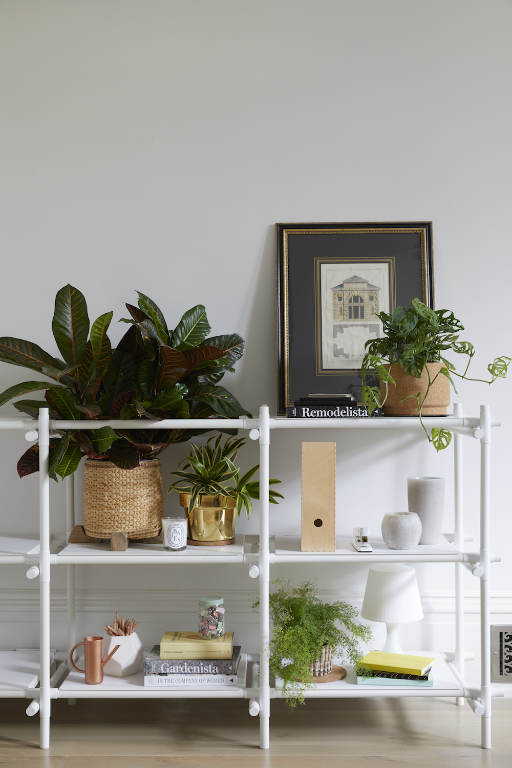 how to decorate with plants on apartment 34